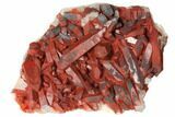 Natural, Red Quartz Crystal Cluster - Morocco #134081-1